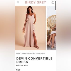 Birdy Grey Devin Convertible Dress Chiffon Taupe XS Brand New Never Worn